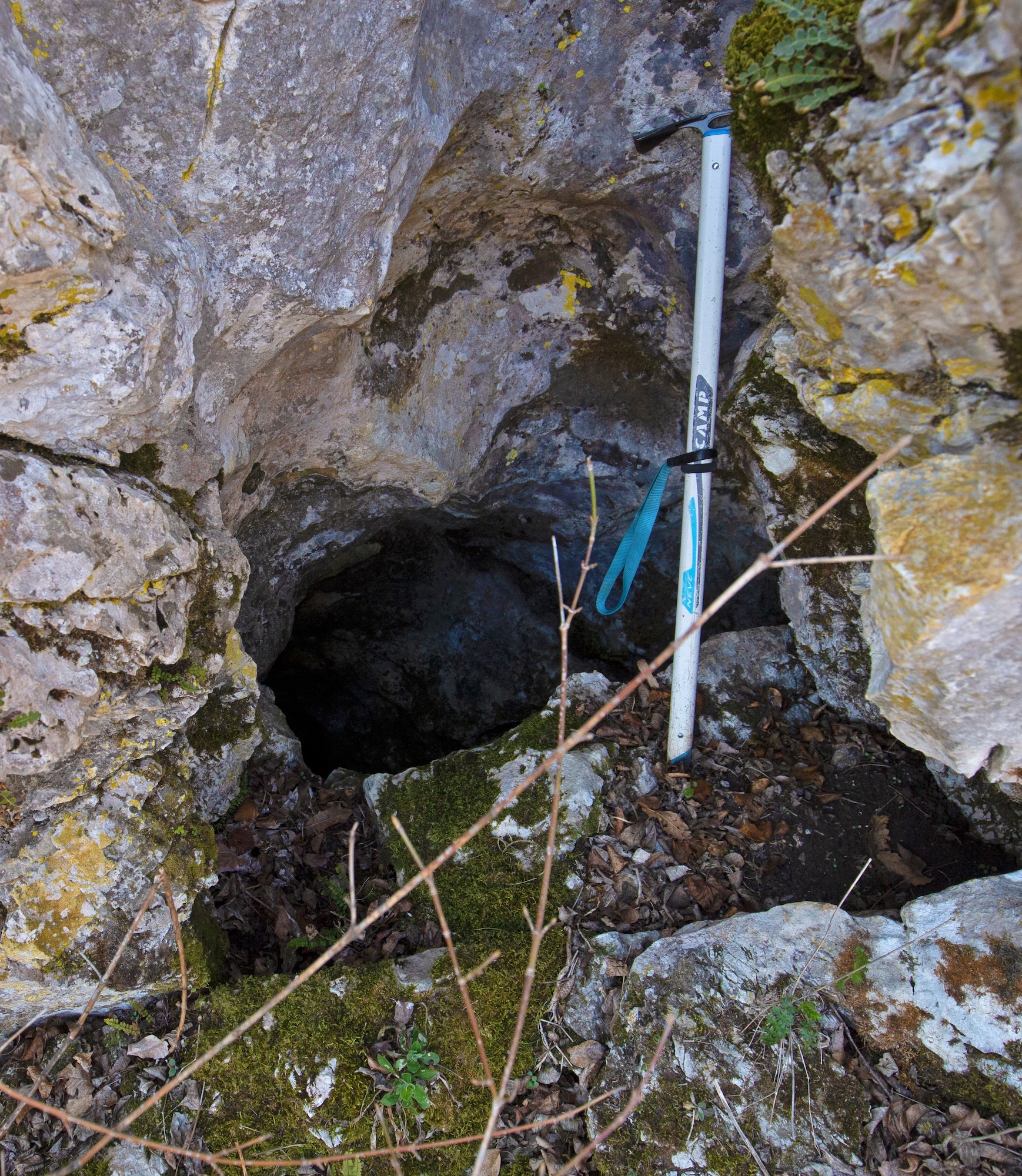 Avenul de la Izbucul Moceriș - Image 1